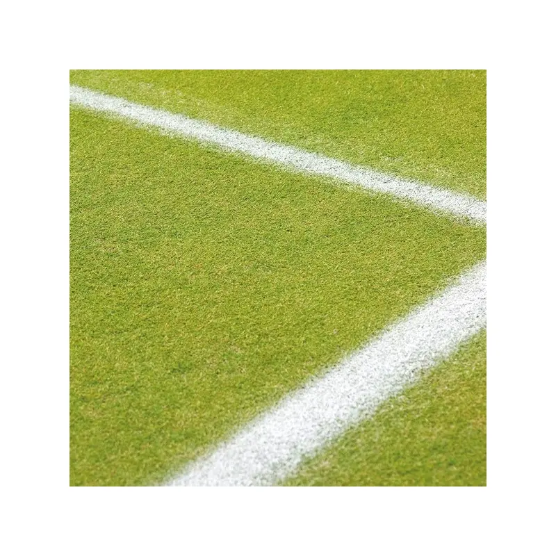 Blackfriar Line Marking Spray