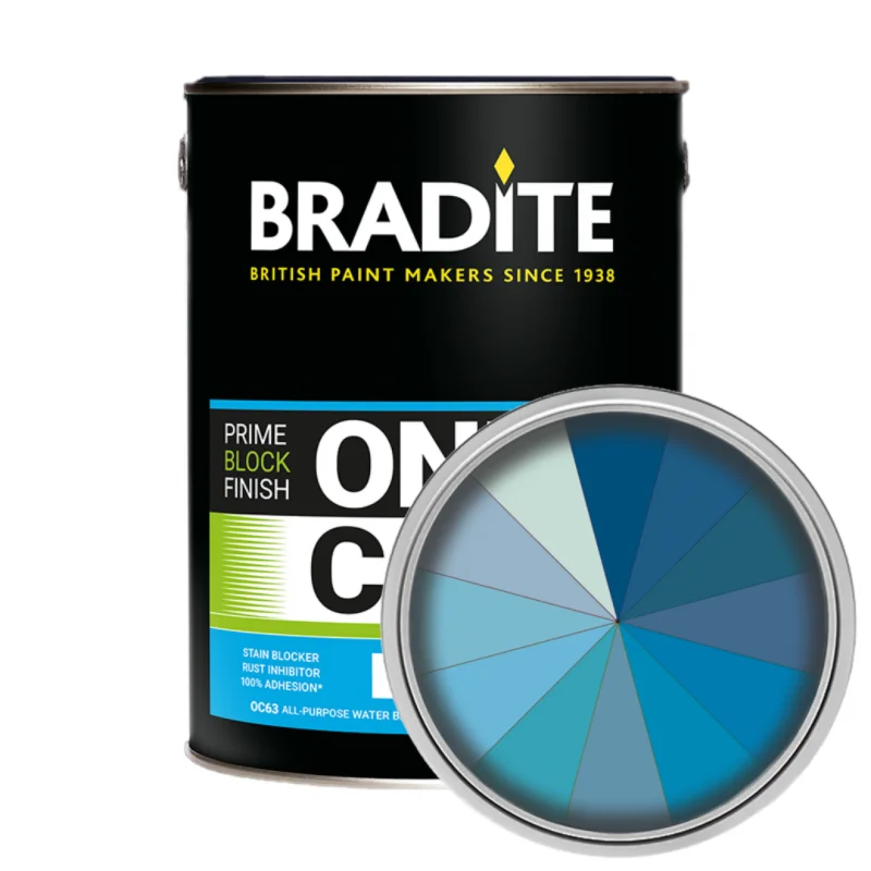 Bradite One Can Matt - Shades of Blue