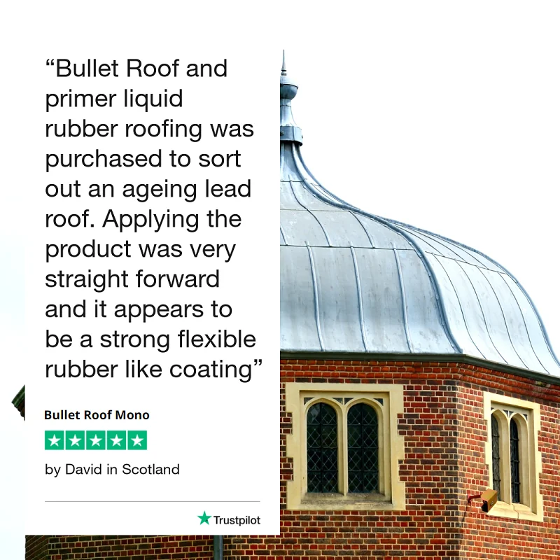 Bullet Roof Mono | Roof Paint