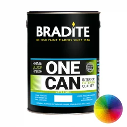 Bradite Matt Stainless Steel Paint