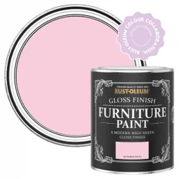 Gloss Furniture & Skirting Board Paint