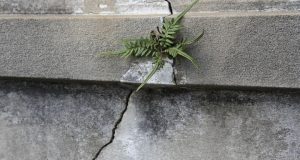 Concrete-crack-repair