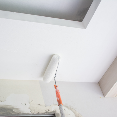 How To Paint A Room - start with the ceiling