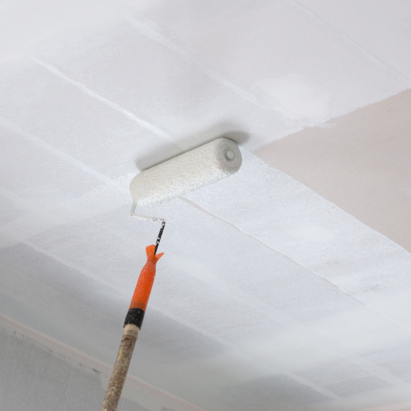 The mist coat creates a base layer that seals the plaster without blocking it from breathing.