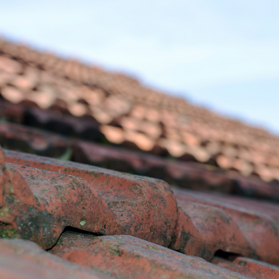 A close-up of terracotta roof tiles with moss and grime accumulation.