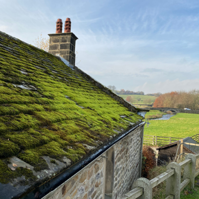 A countryside home with a moss-covered roof against a scenic rural backdrop.