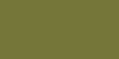 Colour swatch of BS 219 Sage Green, a soft green shade commonly used in architectural and industrial applications.