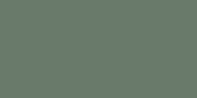 Colour swatch of RAL 150 50 10 Sage Grey Green, a muted green-grey shade for sophisticated finishes.