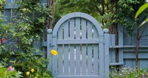 A light blue wooden garden gate with vertical slats, framed by lush greenery and vibrant flowers.