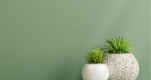 A fresh olive green-painted wall with a minimalist shelf and decorative white plant pots.