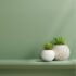 A fresh olive green-painted wall with a minimalist shelf and decorative white plant pots.