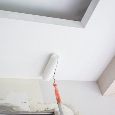 A paint roller on an extension pole applying a mist coat to a freshly plastered ceiling for proper paint absorption.