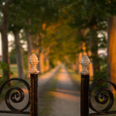 An old wrought iron gate with decorative swirls, opening to a tree-lined path bathed in warm sunlight.